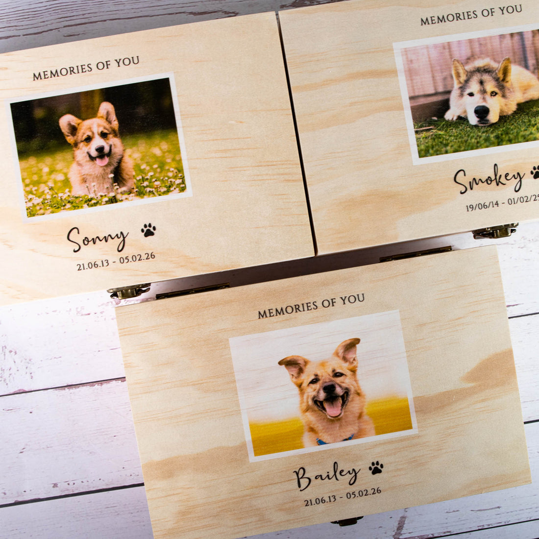Personalised Pet Memorial Box, Custom Keepsake Pet Remembrance Gift Loss of Dogs and Cats