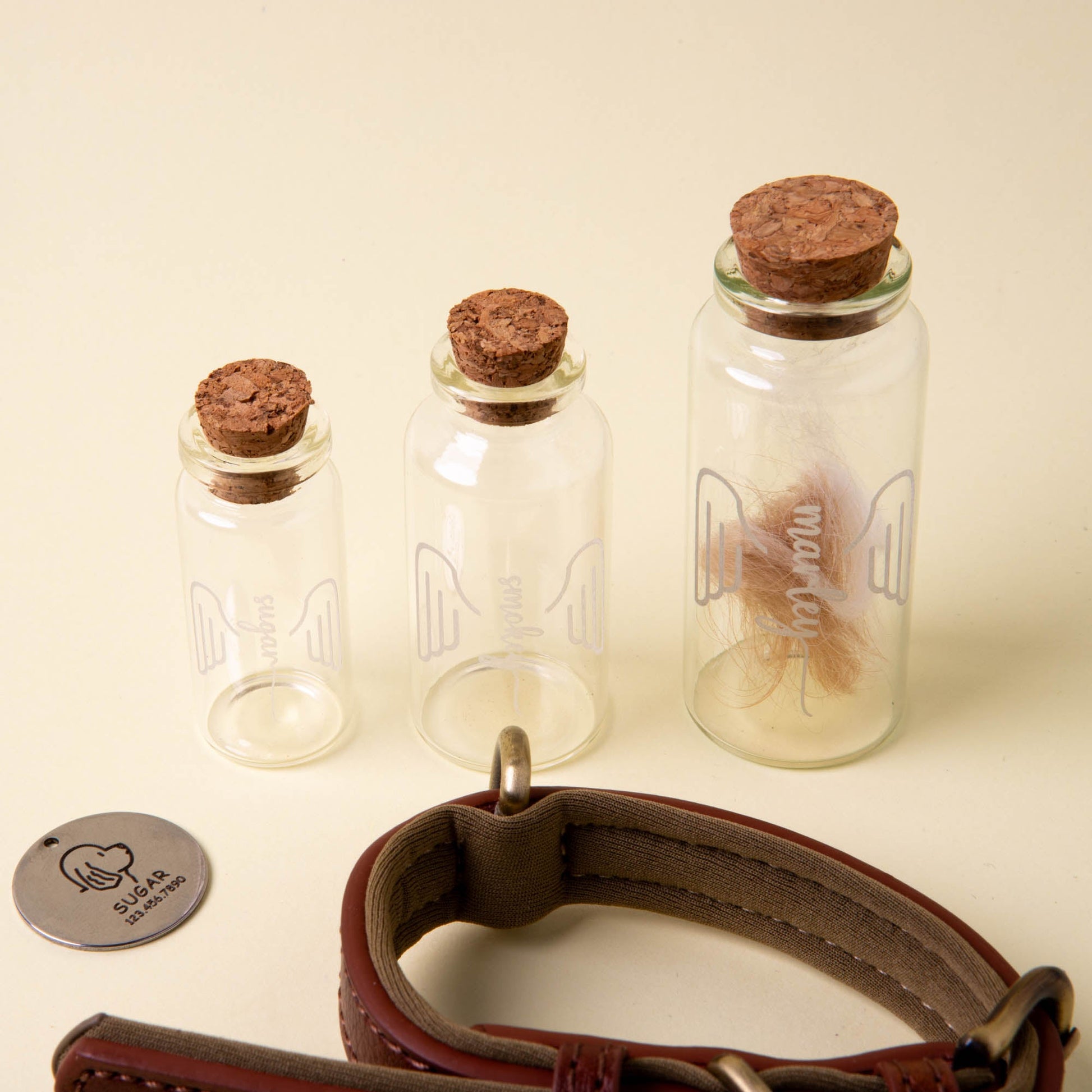 Personalised Memorial Glass Bottle with Cork – Laser Engraved Dog Name & Wings - Younique Gifts