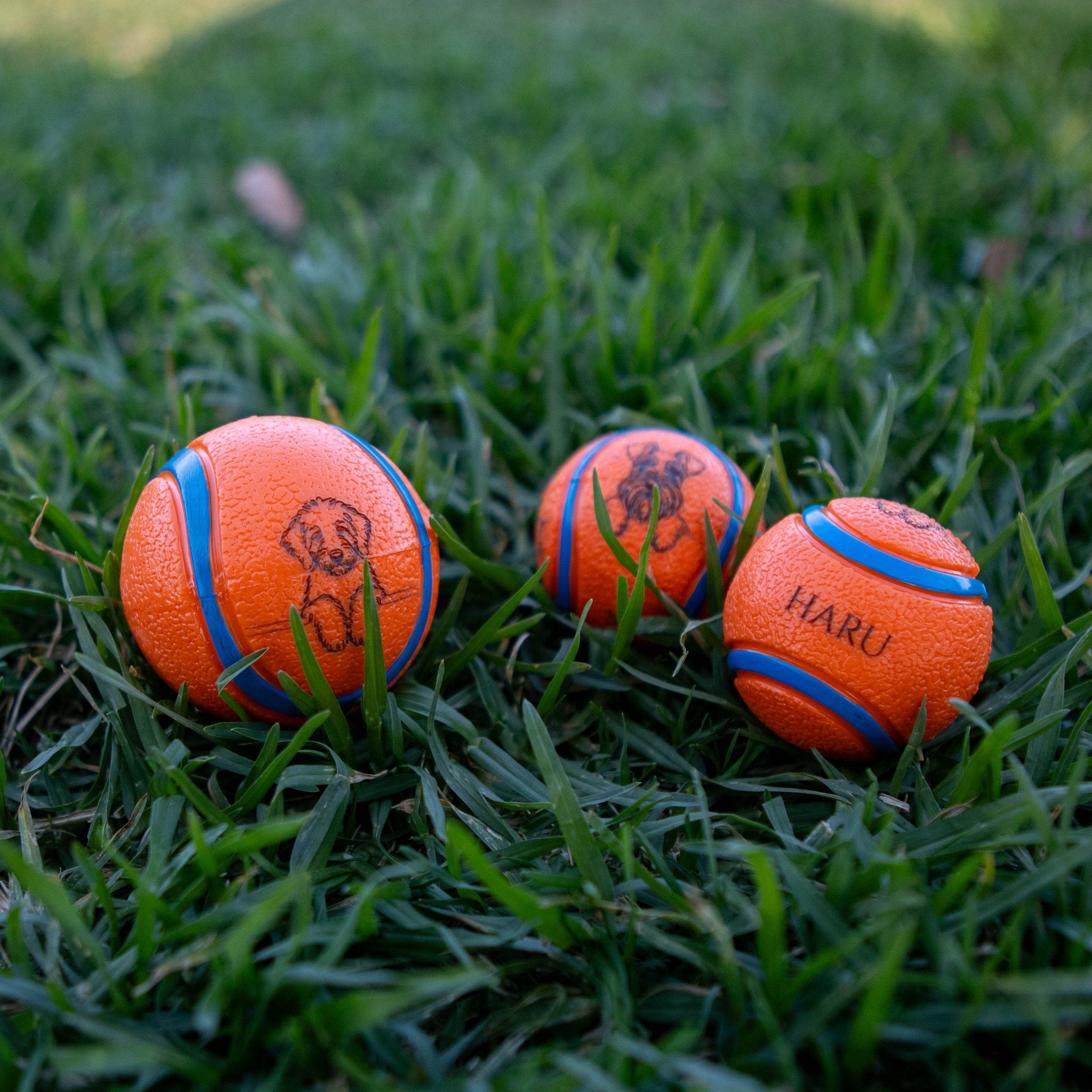 Personalised Squeaky Dog Toy Ball – Engraved with Your Dog’s Face and Name! - Younique Gifts