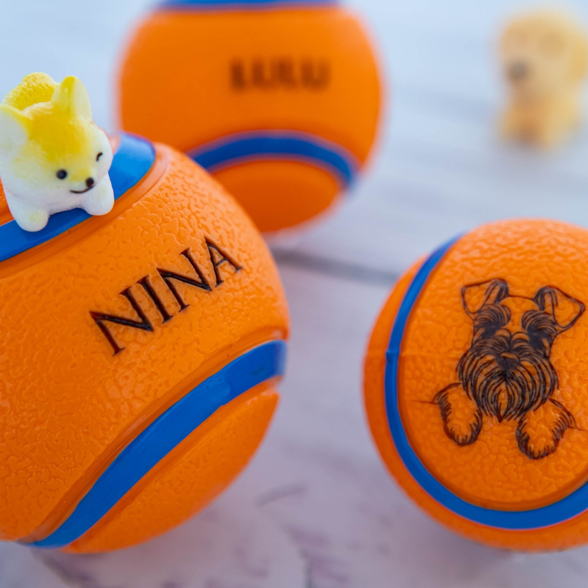 Personalised Squeaky Dog Toy Ball – Engraved with Your Dog’s Face and Name! - Younique Gifts