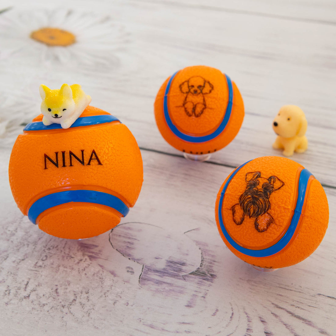 Personalised Squeaky Dog Toy Ball – Engraved with Your Dog’s Face and Name! - Younique Gifts