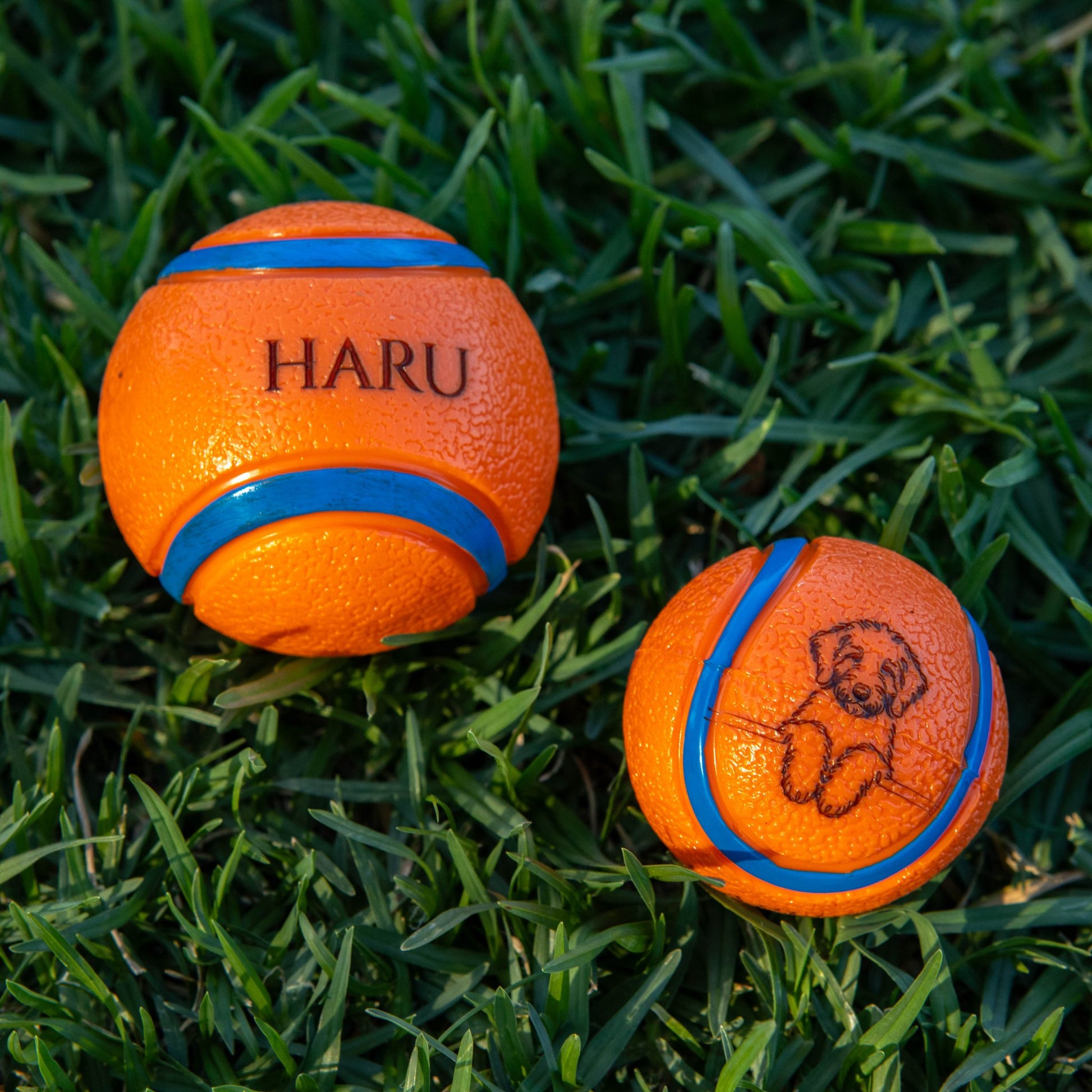 Personalised Squeaky Dog Toy Ball – Engraved with Your Dog’s Face and Name! - Younique Gifts