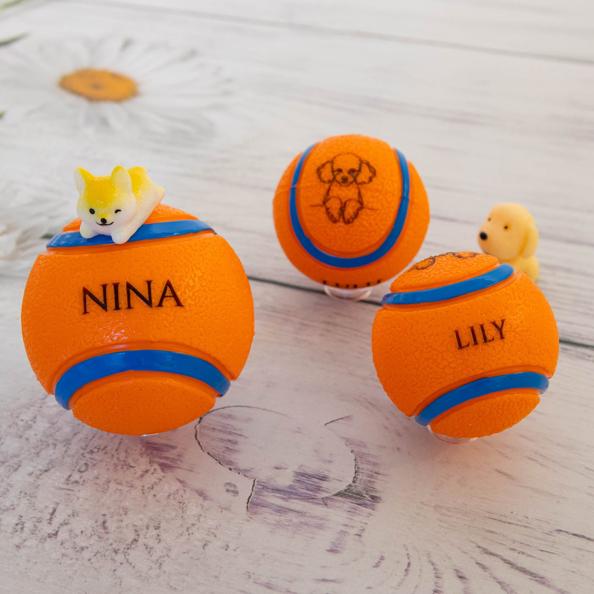Personalised Squeaky Dog Toy Ball – Engraved with Your Dog’s Face and Name! - Younique Gifts