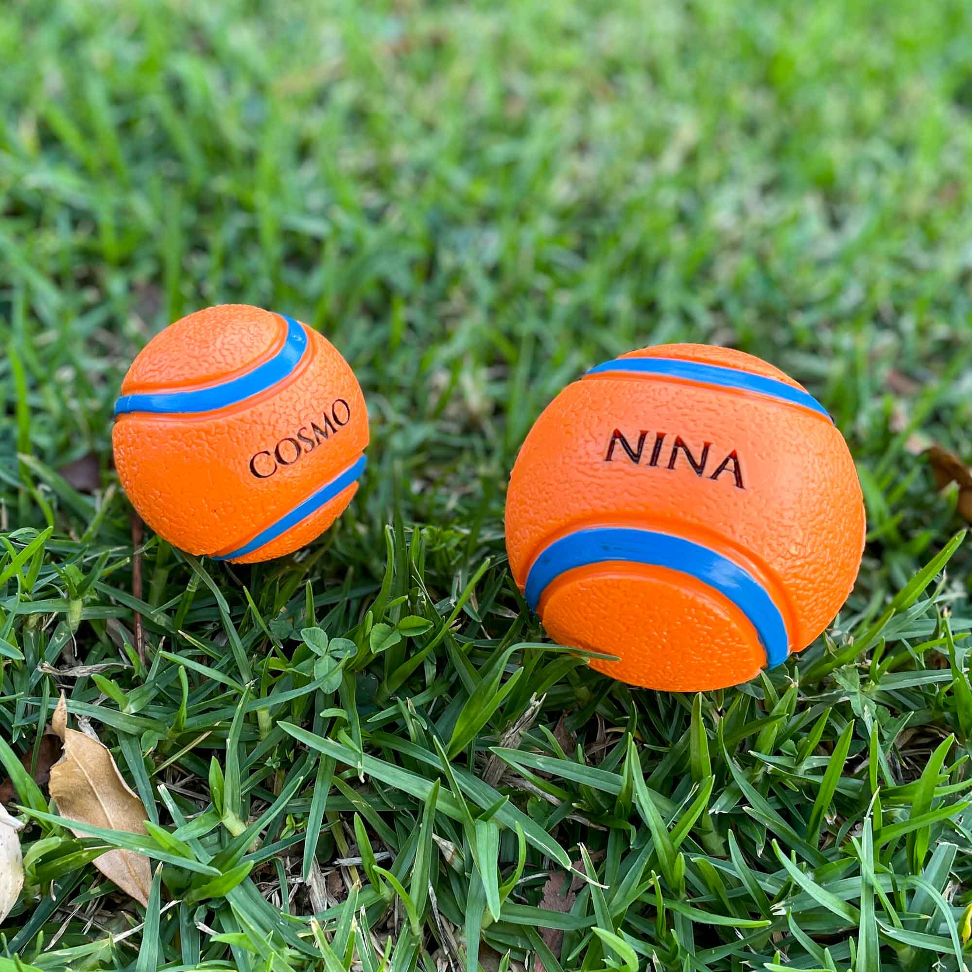 Personalised Squeaky Dog Toy Ball – Engraved with Your Dog’s Name! - Younique Gifts