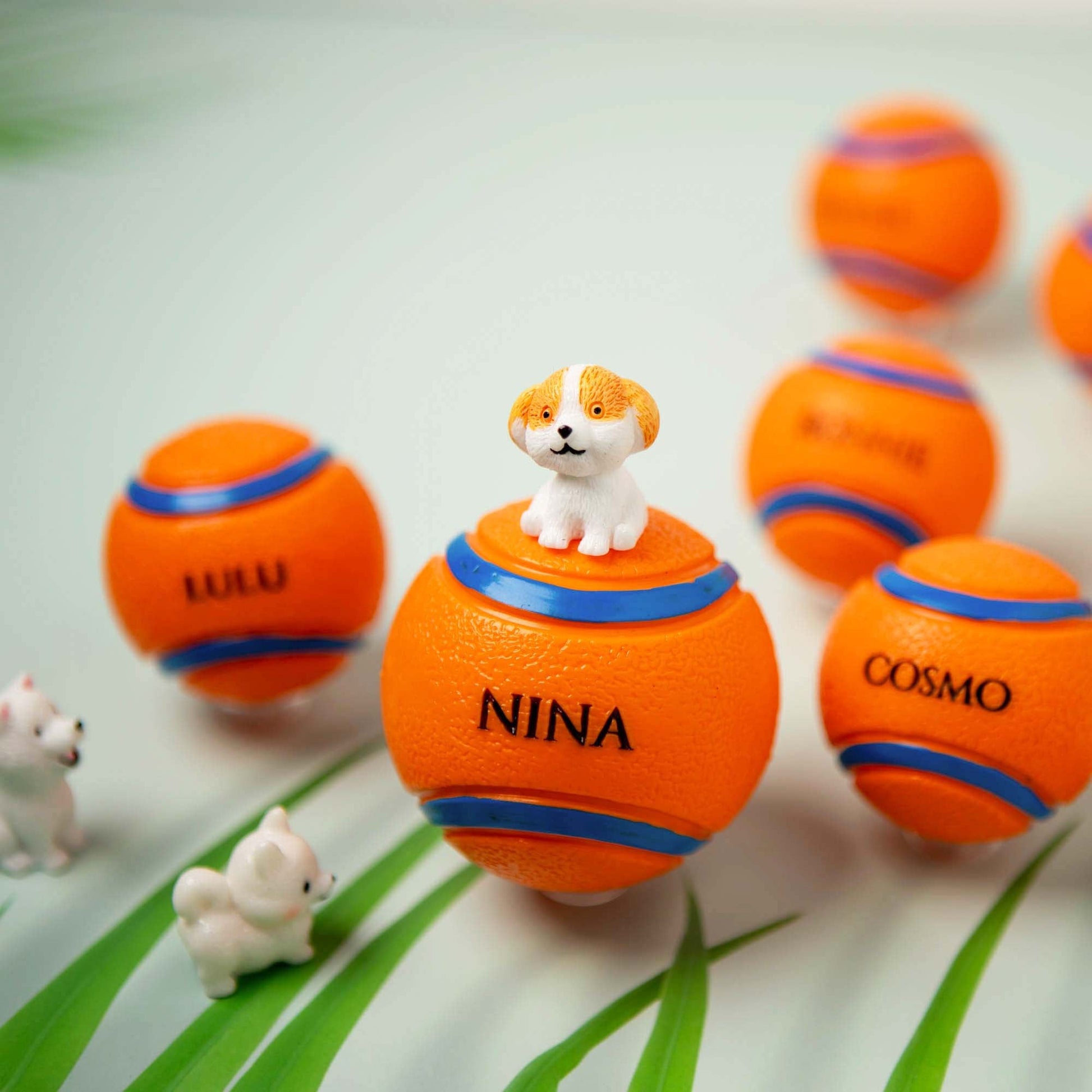 Personalised Squeaky Dog Toy Ball – Engraved with Your Dog’s Name! - Younique Gifts