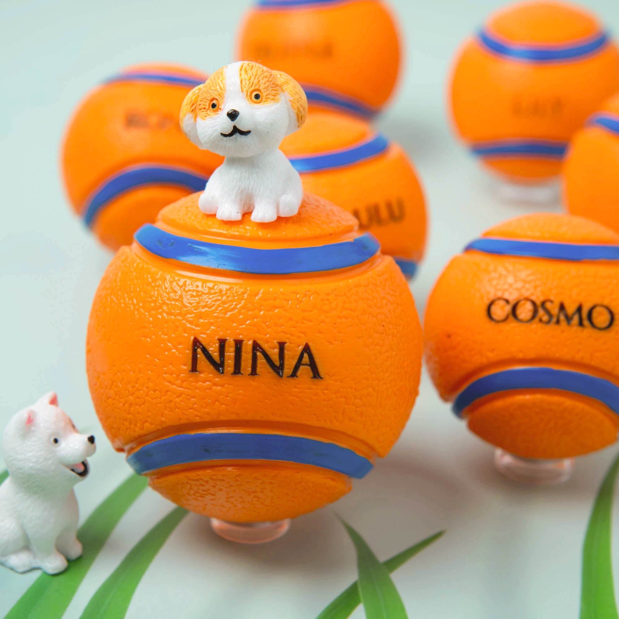 Personalised Squeaky Dog Toy Ball – Engraved with Your Dog’s Name! - Younique Gifts
