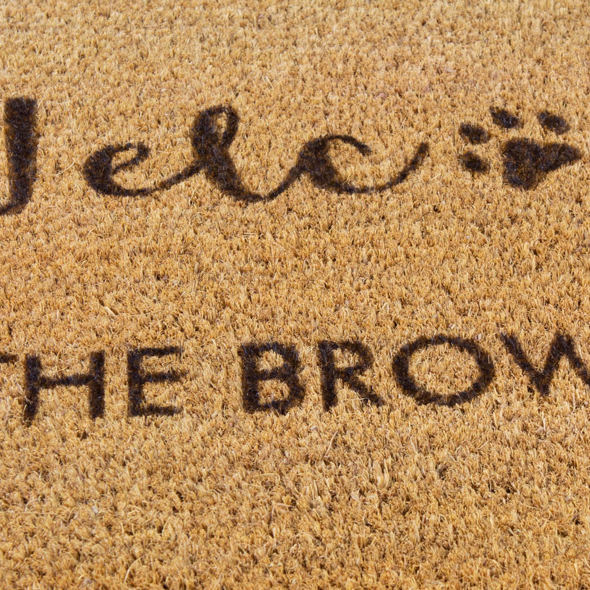 Personalised Family Name Doormat with Dog Paw [Brown]